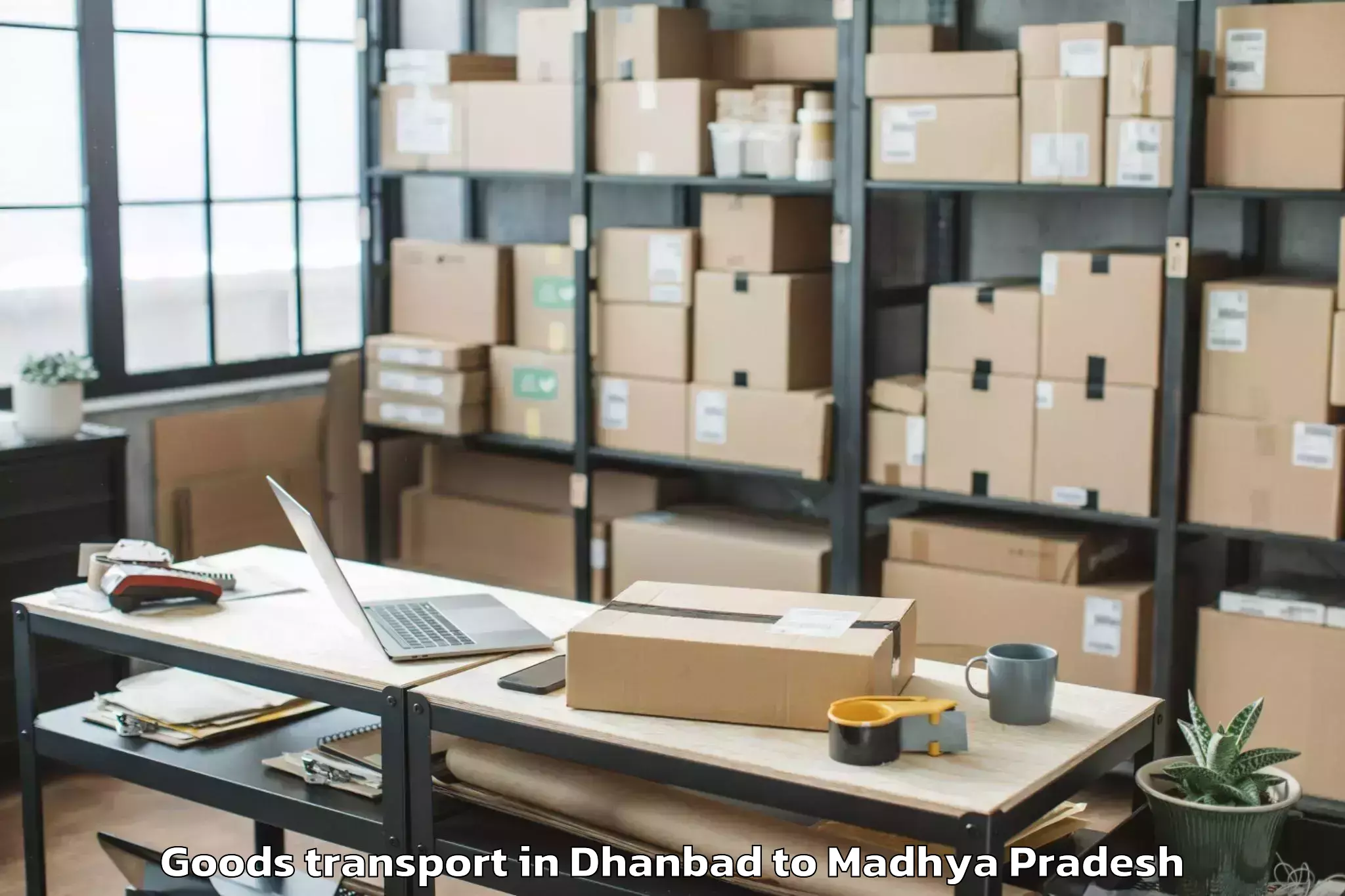 Easy Dhanbad to Shri Vaishnav Vidyapeeth Vishw Goods Transport Booking